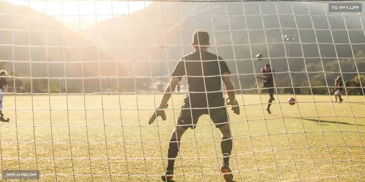 行业领先的理由